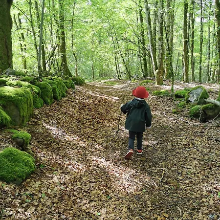 فندق مبيت وإفطار Acs D'hotes Jusqu'a 4 Personnes Bagnols (Puy-de-Dome)