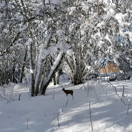 Acs D'hotes Jusqu'a 4 Personnes 3*