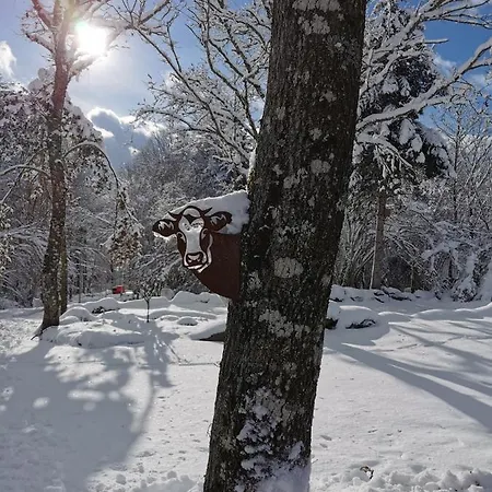 Acs D'hotes Jusqu'a 4 Personnes 3*